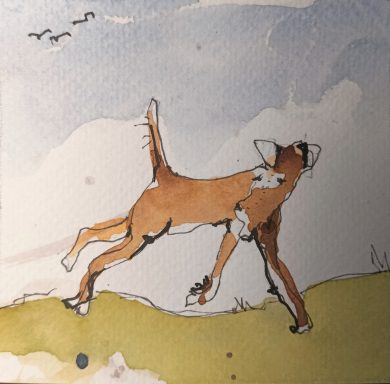 Ein bräunlicher Hund läuft mit freudigem Ausdruck über eine grüne Wiese.